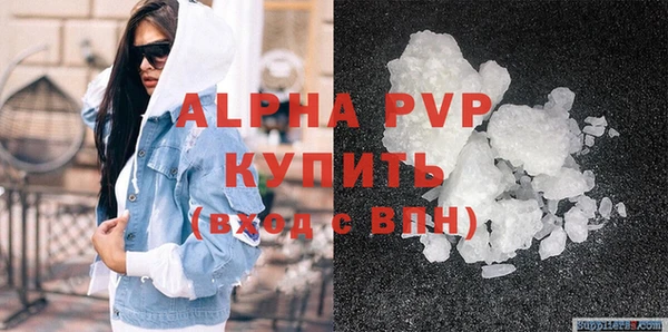 дживик Касимов