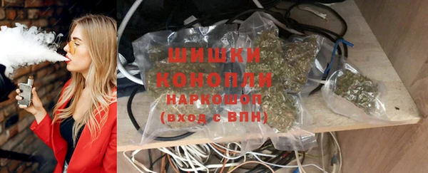 дживик Касимов